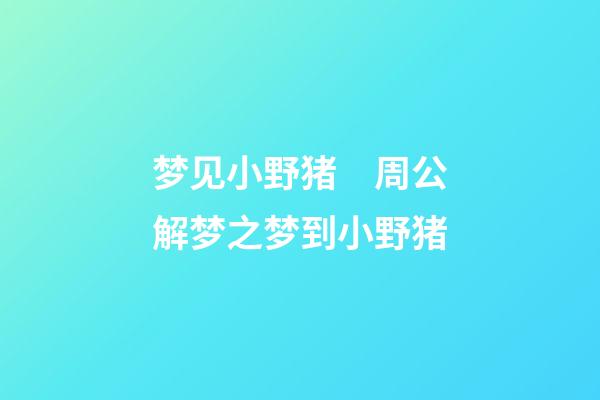 梦见小野猪　周公解梦之梦到小野猪